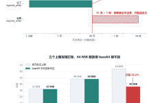 一文读懂 DeepSeek 的文件仓库:少写一个参数,文件就永久留在他服务器上-171主机测评