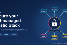 Elasticsearch:为自行管理的 Elastic Stack 自定义 TLS 证书-171主机测评