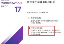 VMware ESXi 7.0 实验全记录:嵌套安装 → 网络配置 → 存储 → Windows 10 虚拟机部署-171主机测评
