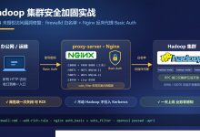 Hadoop 集群安全加固实战：YARN 未授权访问漏洞修复，firewalld 白名单 + Nginx 反向代理 Basic Auth 全流程-171主机测评