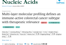 Mol. Ther. Nucleic Acids | 275例多组学、16.4万单细胞:识别结直肠癌CS3免疫活跃亚型-171主机测评