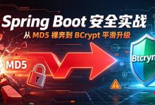 Spring Boot 安全实战:从 MD5 裸奔到 BCrypt 平滑升级(附真实踩坑复盘)-171主机测评