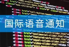 国际语音Node.js接口代码分享:基于Axios的非阻塞语音API调用-171主机测评