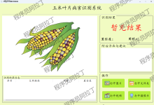 基于YOLOv8深度学习的玉米叶片病害识别系统（Python+PyTorch+OpenCV+PyQt5）| 毕业设计 源码+论文+完整教程-171主机测评