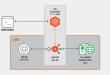 NGINX 与 Avi:云端性能之比较-171主机测评